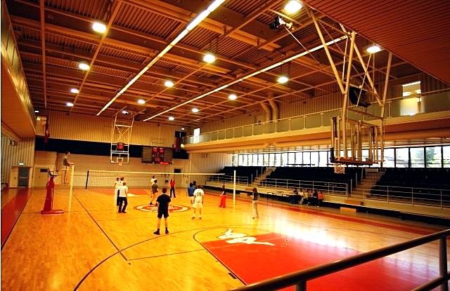 Иституто Елветико