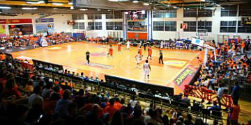 Лев Амошава